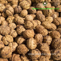 fine Chinese Walnut Kernels Light Halves from factory